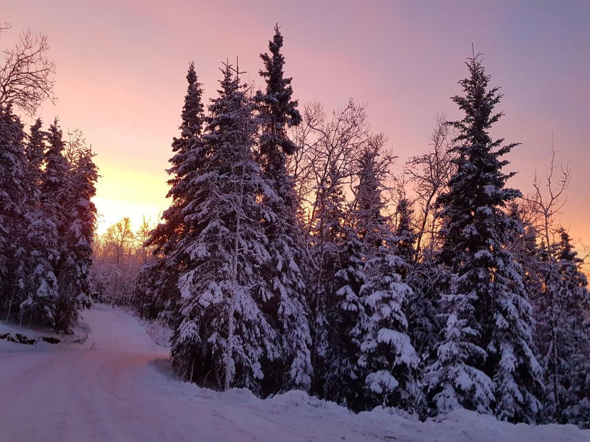 Northwoods Cottage Bed And Breakfast Fairbanks Exterior foto