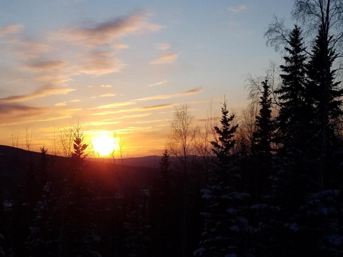 Northwoods Cottage Bed And Breakfast Fairbanks Exterior foto