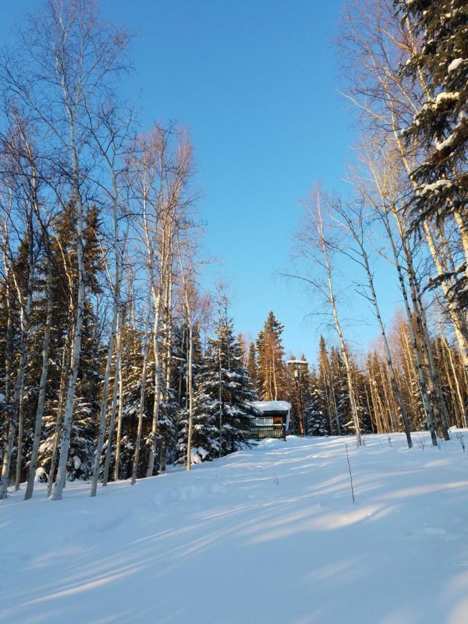 Northwoods Cottage Bed And Breakfast Fairbanks Exterior foto