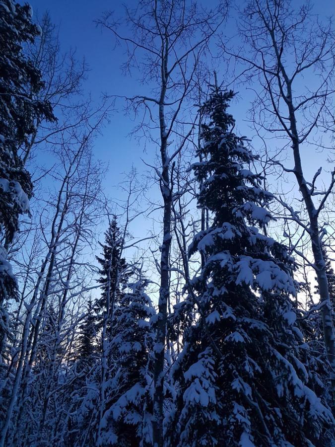 Northwoods Cottage Bed And Breakfast Fairbanks Exterior foto