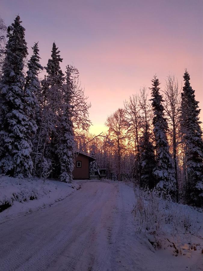 Northwoods Cottage Bed And Breakfast Fairbanks Exterior foto