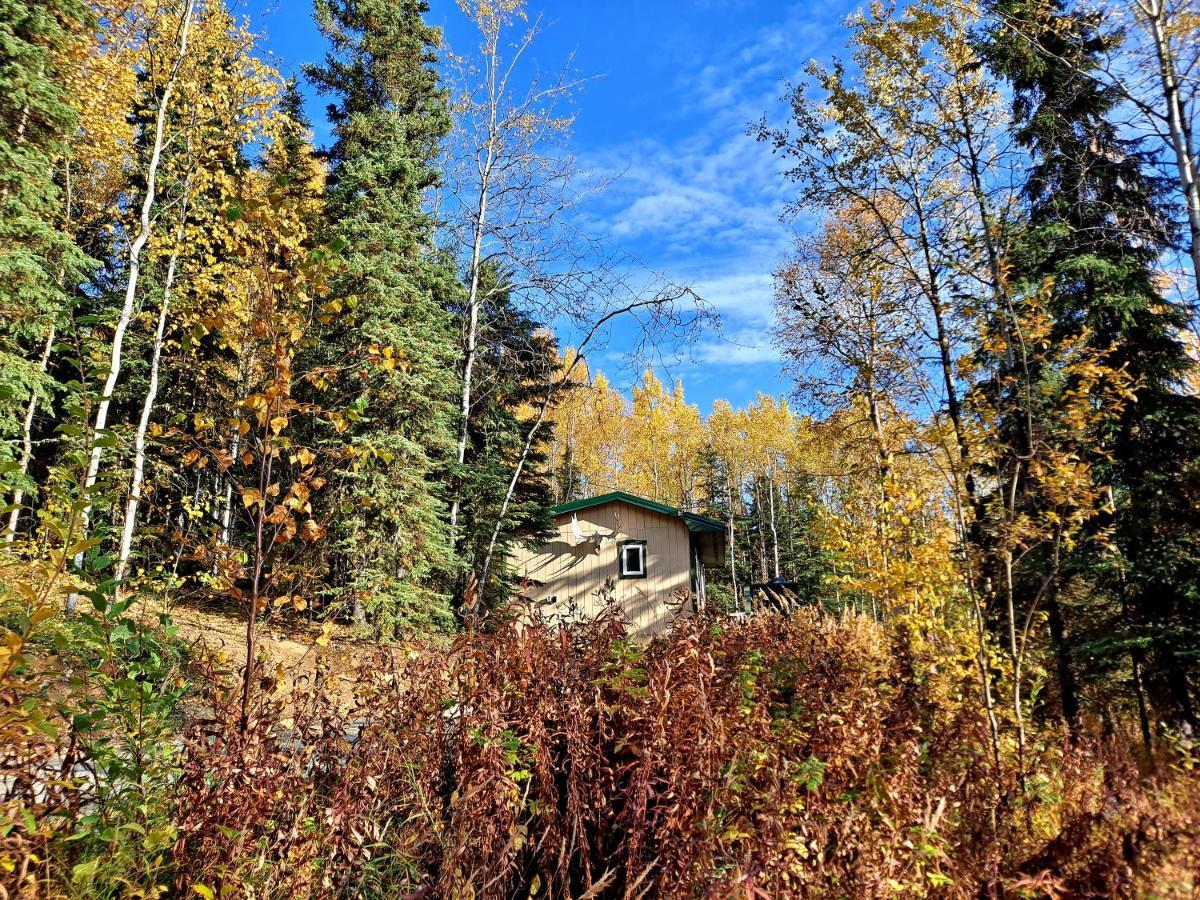 Northwoods Cottage Bed And Breakfast Fairbanks Exterior foto